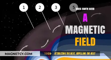 Shielded Planet: The Vital Role of Earth's Magnetic Field