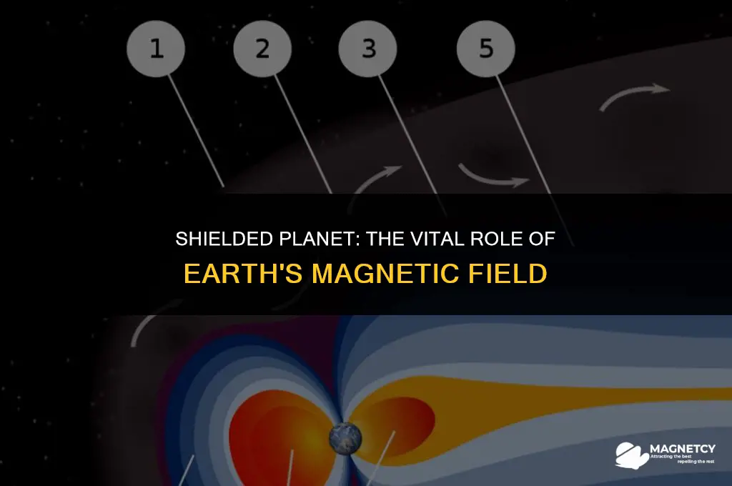 does earth need a magnetic field