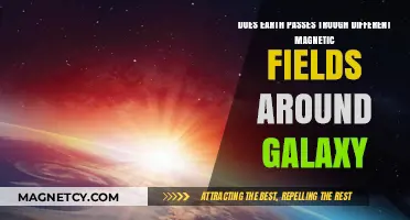 Exploring the Cosmic Magnetic Landscape: Earth's Galactic Journey
