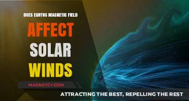 Shielded by Earth's Magnetism: The Dynamic Dance with Solar Winds
