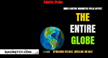 Global Reach: Earth's Magnetic Field and Its Planetary Influence