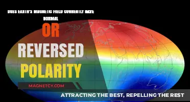 Exploring Earth's Magnetic Field: Normal or Reversed Polarity?