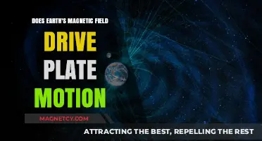 Exploring the Link Between Earth's Magnetic Field and Plate Tectonics