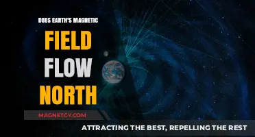 Exploring Earth's Magnetic Field: Does it Flow North?