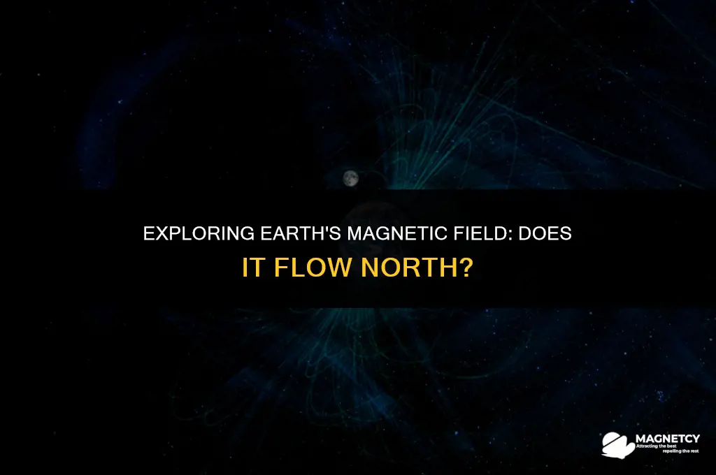 does earth