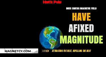 Exploring the Dynamics of Earth's Magnetic Field Strength