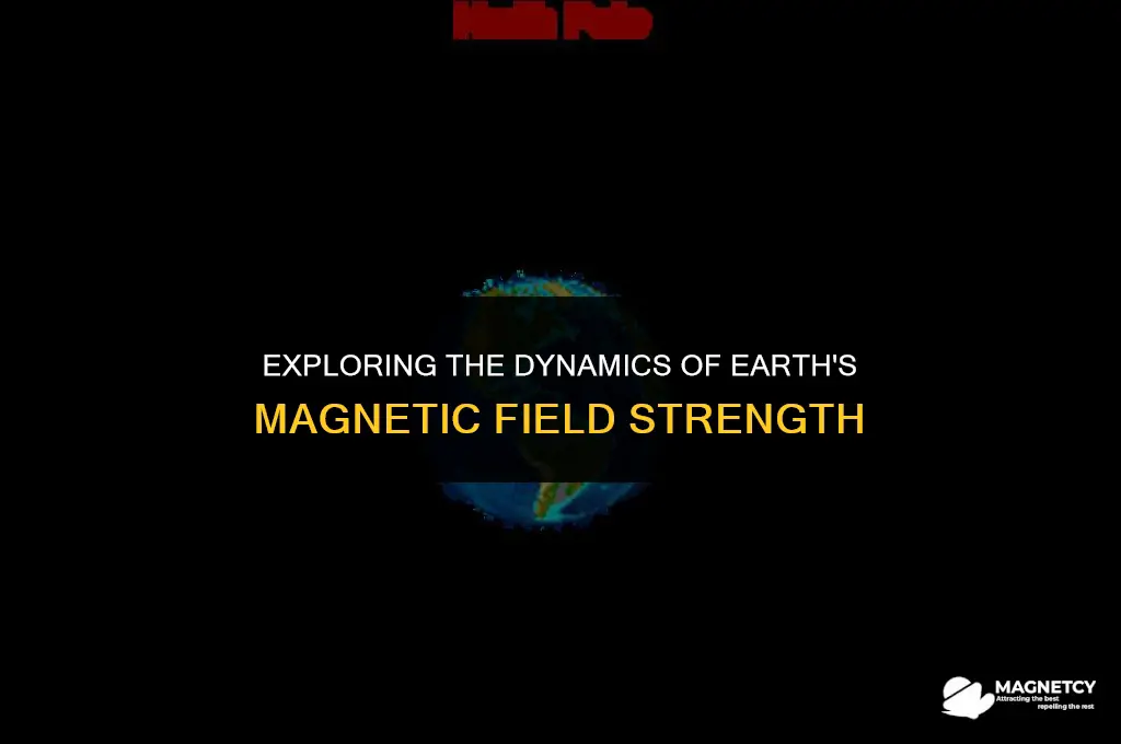 does earths magnetic field have afixed magnitude