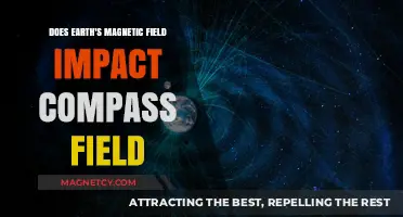 Navigating Nature's Magnetism: Earth's Field and Compass Accuracy