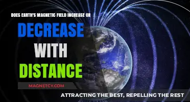 Exploring the Dynamics of Earth's Magnetic Field: A Distance-Based Analysis