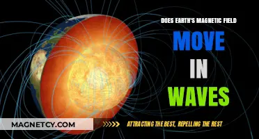 Exploring the Undulations of Earth's Magnetic Field: A Wave-like Motion?