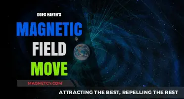 Exploring the Dynamics of Earth's Magnetic Field: Does It Move?