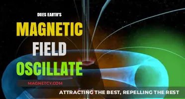 Exploring the Rhythmic Nature of Earth's Magnetic Field
