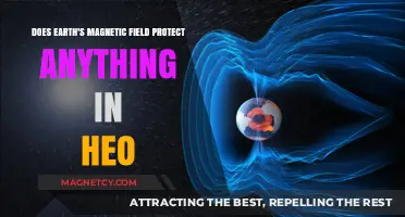 Shielding Life: Earth's Magnetic Field and Its Protective Role in Space