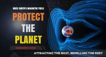 Shielded by Nature: Earth's Magnetic Field and Planetary Protection