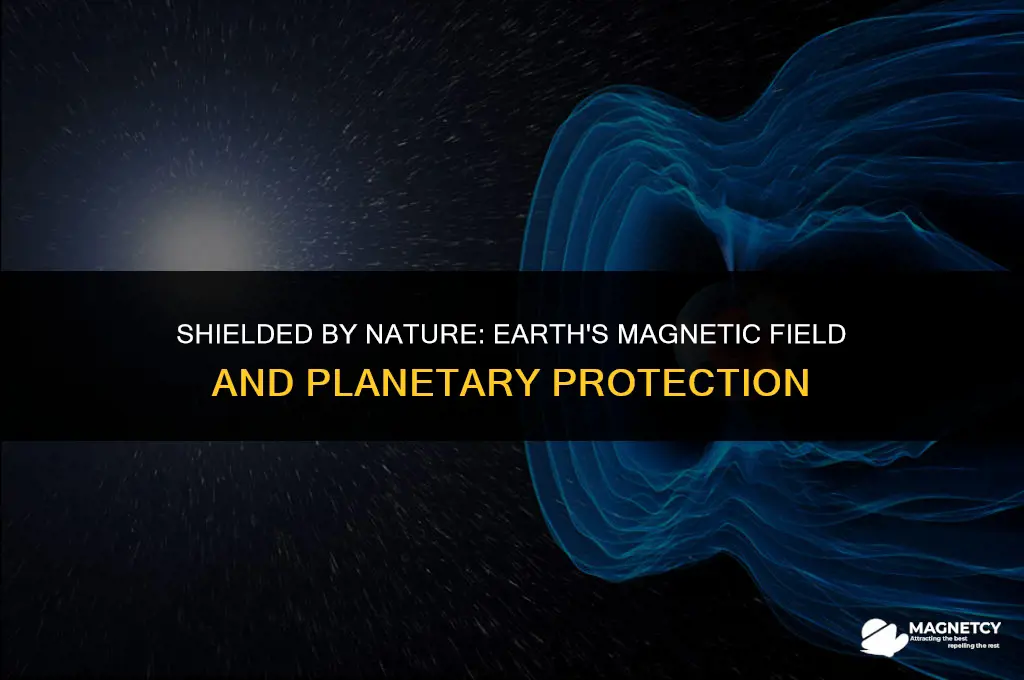 does earth