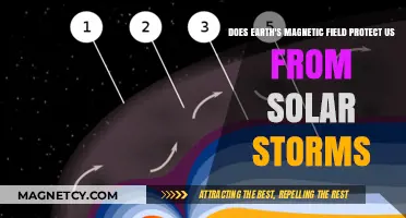 Shielded by Earth's Magnetism: Understanding Our Defense Against Solar Storms