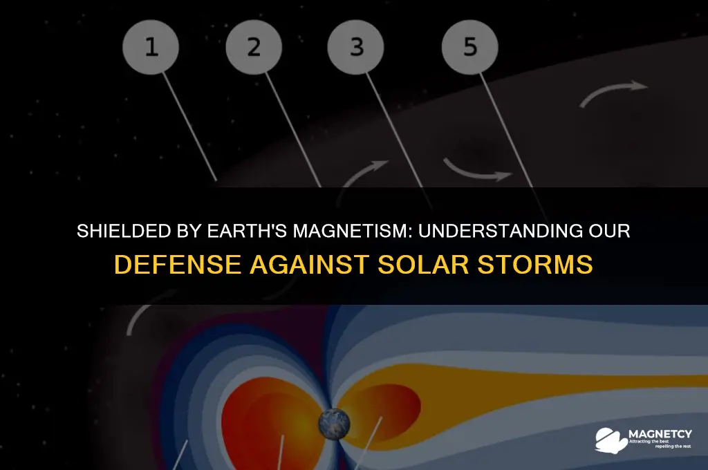 does earth
