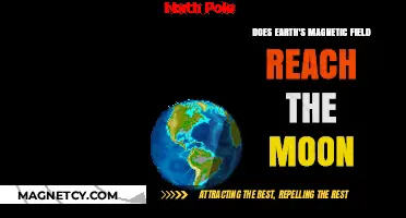 Exploring the Limits: Earth's Magnetic Influence on the Moon