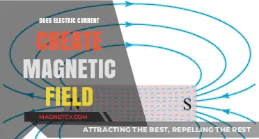 Exploring the Intricate Relationship Between Electric Current and Magnetic Fields