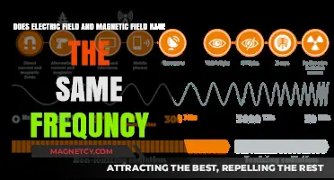 Unraveling the Mystery: Do Electric and Magnetic Fields Share the Same Frequency?