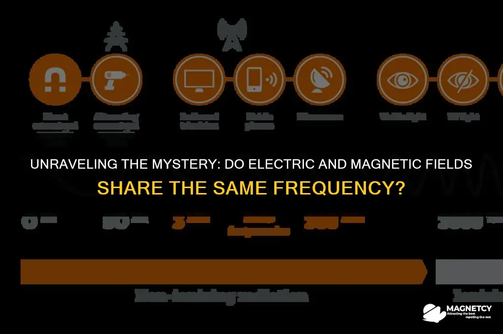 does electric field and magnetic field have the same frequncy