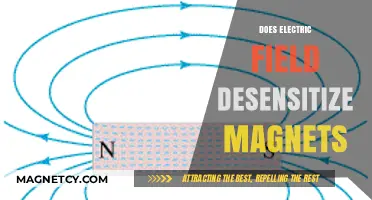 Exploring the Interaction: Electric Fields and Magnet Desensitization