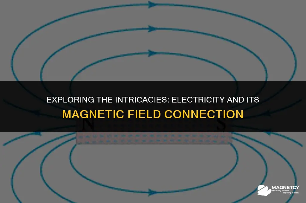 does electricity always have a magnetic field