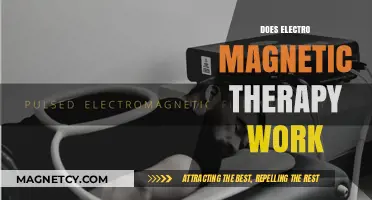 Exploring the Efficacy of Electromagnetic Therapy: A Comprehensive Guide