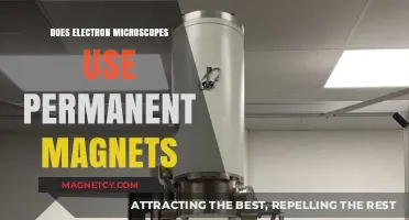 Do Electron Microscopes Rely on Permanent Magnets for Imaging?