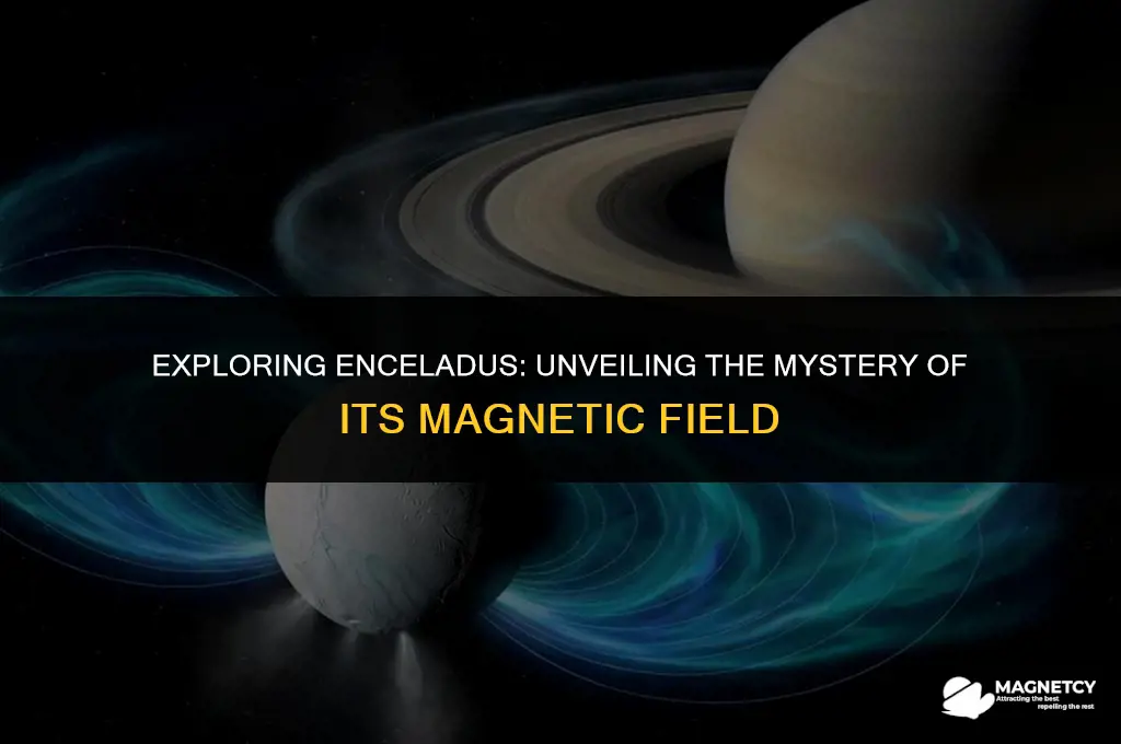 does enceladus have a magnetic field