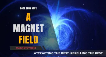 Exploring the Magnetic Mysteries of Eris: A Celestial Enigma Unveiled