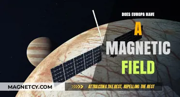 Exploring Europa: Unveiling the Mysteries of Its Magnetic Field