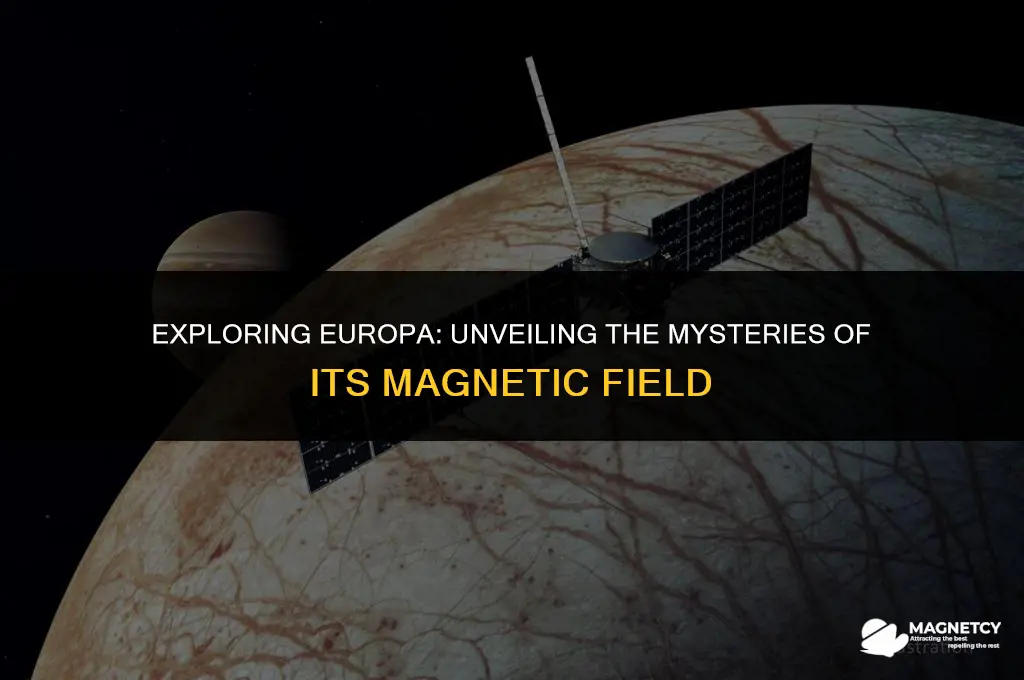 does europa have a magnetic field