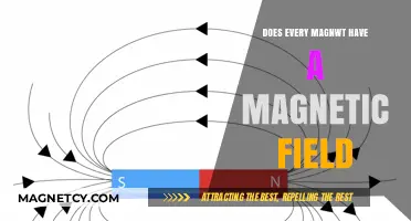 Exploring Magnetism: Do All Magnets Have a Magnetic Field?