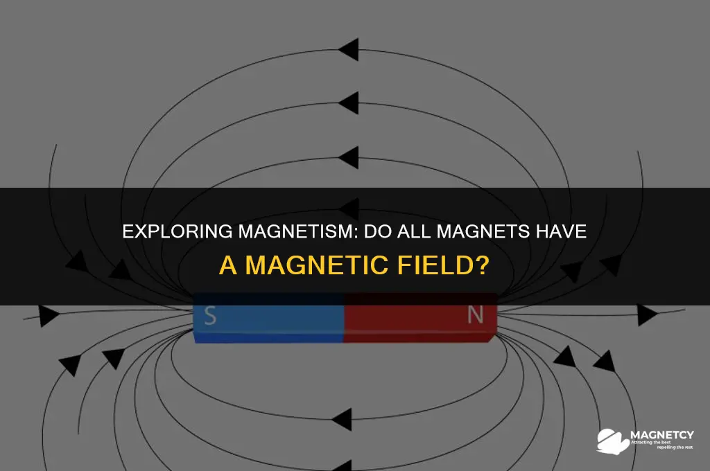 does every magnwt have a magnetic field