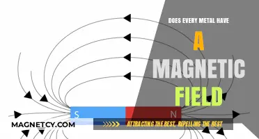 Exploring Magnetism: Do All Metals Exhibit Magnetic Fields?