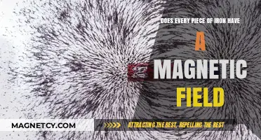 Exploring Magnetism: Does Every Iron Piece Have a Magnetic Field?