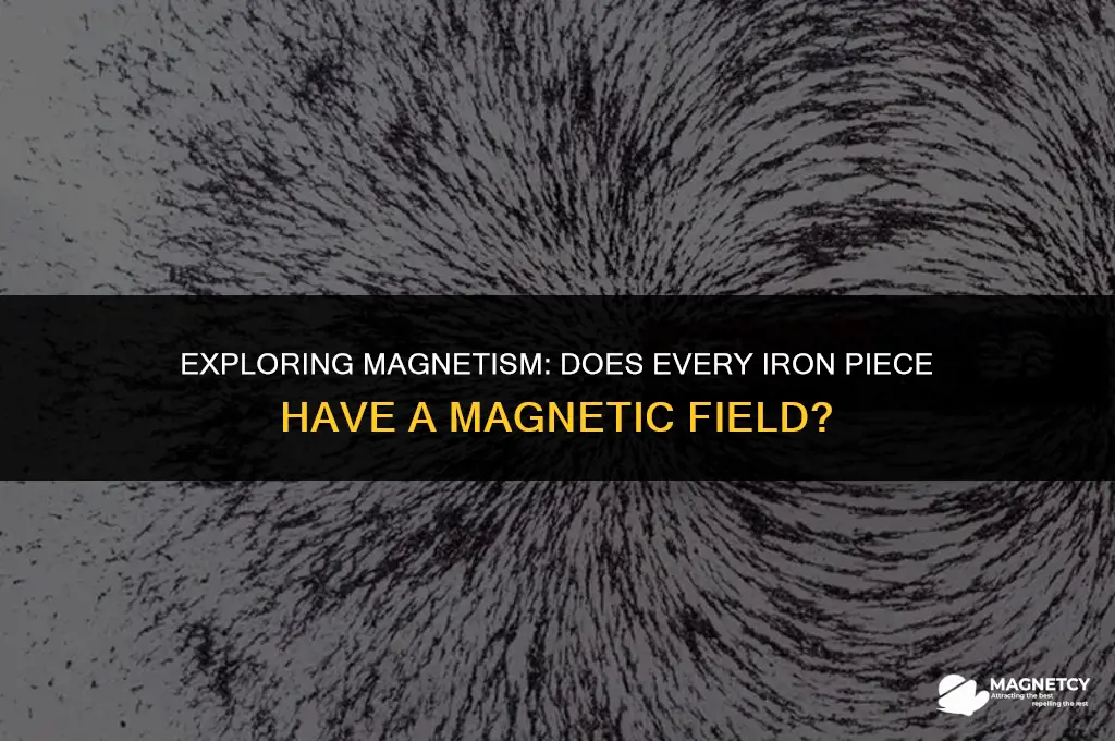 does every piece of iron have a magnetic field