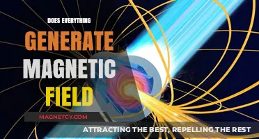Unveiling the Mysteries: Does Everything Generate a Magnetic Field?