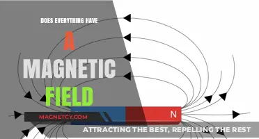 Unveiling the Invisible: Do All Objects Emit Magnetic Fields?