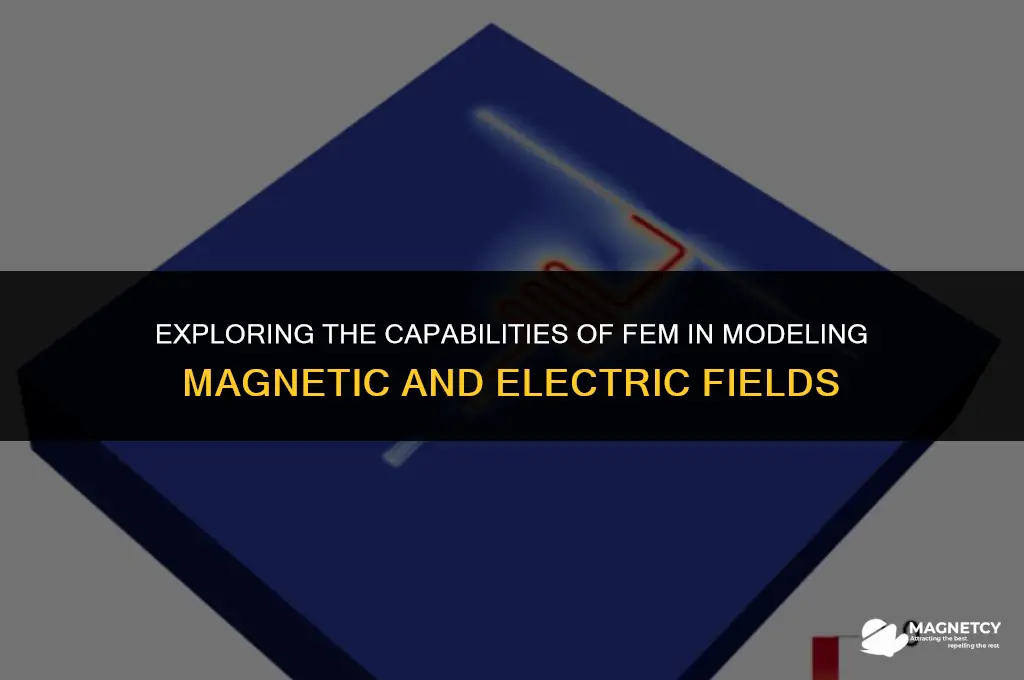 does fem solve for magnetic and electric field