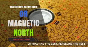 True North vs. Magnetic North: Which Does Feng Shui Follow?