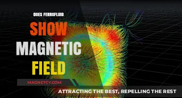 Exploring the Invisible: How Ferrofluid Reveals Magnetic Fields