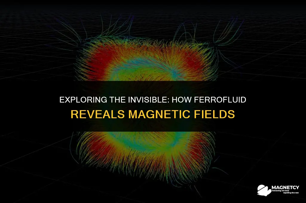 does ferrofluid show magnetic field