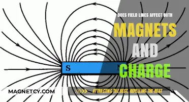Exploring the Influence of Field Lines on Magnets and Charges