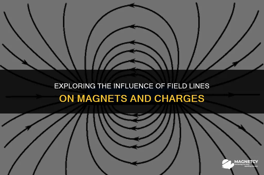 does field lines affect both magnets and charge