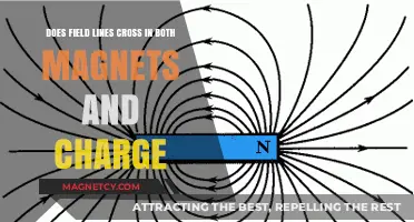 Exploring the Intricacies: Do Field Lines Cross in Magnets and Charges?