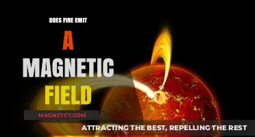 Exploring the Hidden Forces: Fire's Magnetic Field Mystery