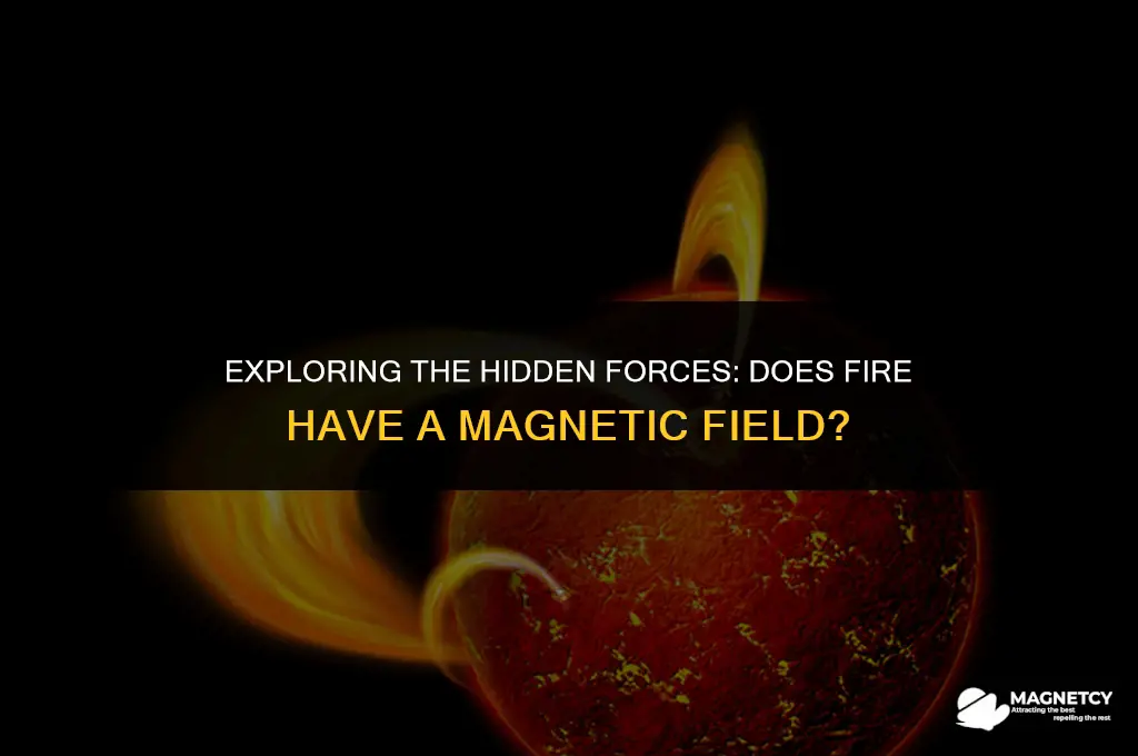 does fire have a magnetic field