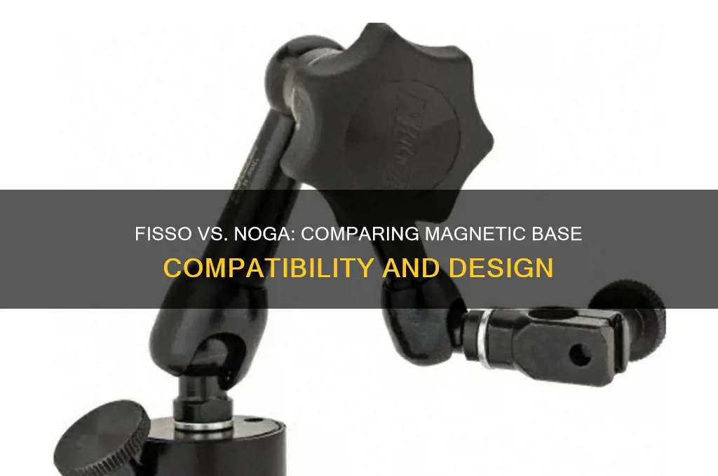 does fisso use the same magnetic bases as noga